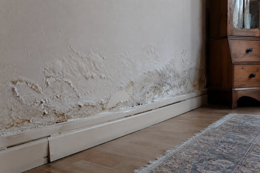 Pared interior con humedad por capilaridad y eflorescencia salina en el zócalo